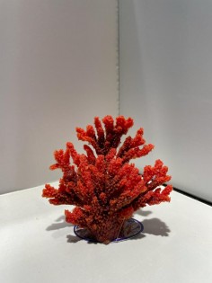 RED mini Coral